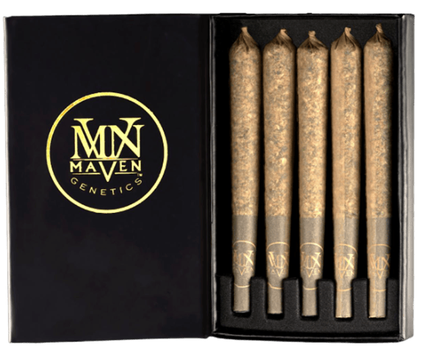 MAVEN - INDOOR PREROLL MULTIPACK - UMAMI BUTTER - 2.5G