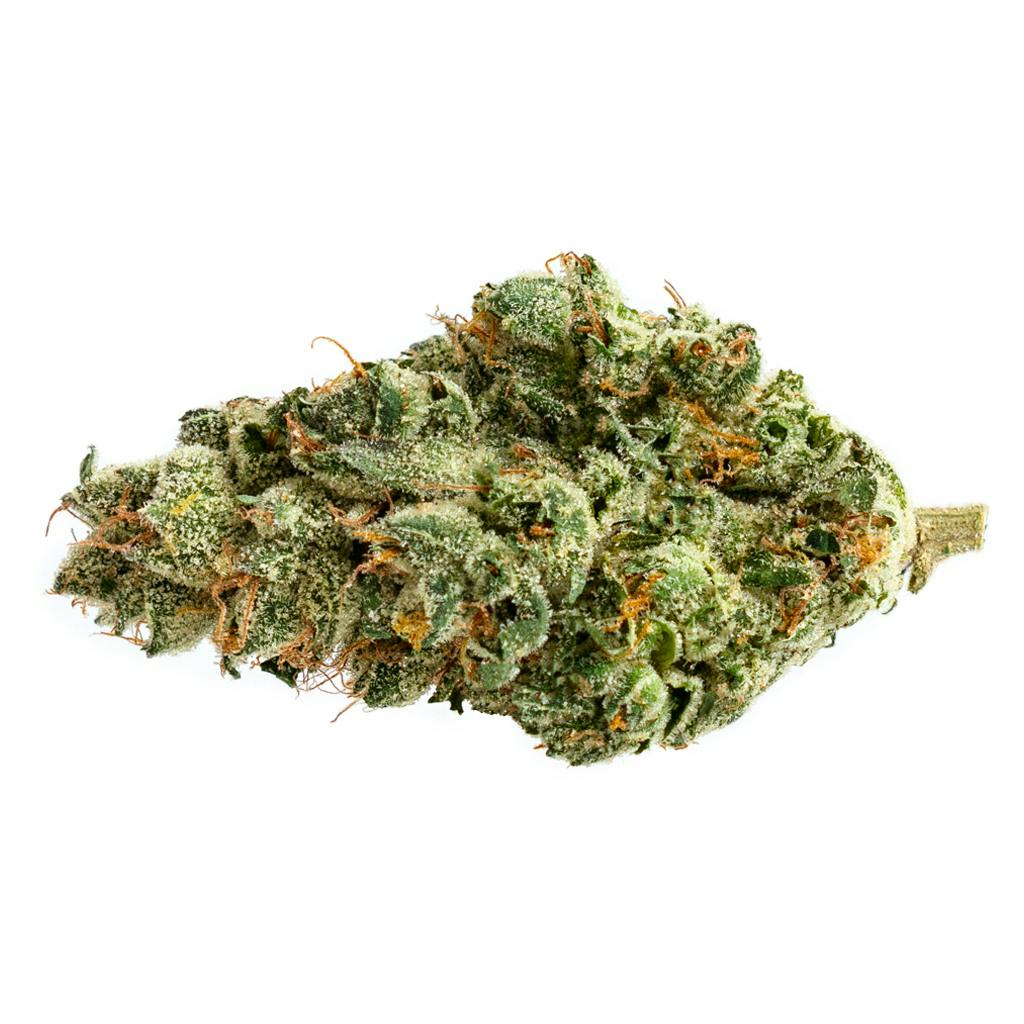 Pure Sunfarms - Bubble Mints - 3.5g