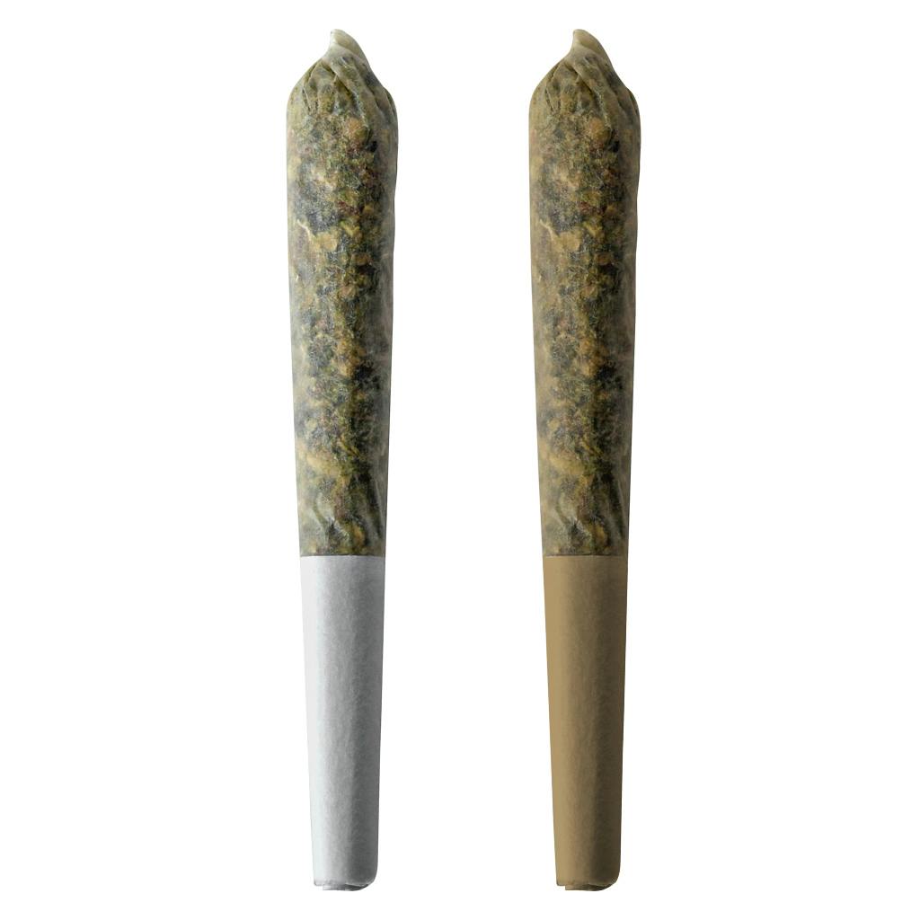 BZAM x Dunn - Golden Papaya x Frosted Fruitcake Pre-Roll - 12x0.5g