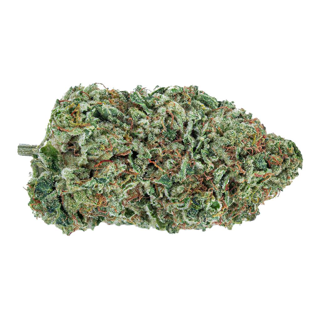 The Green Organic Dutchman - Organic Maple Kush - 3.5g
