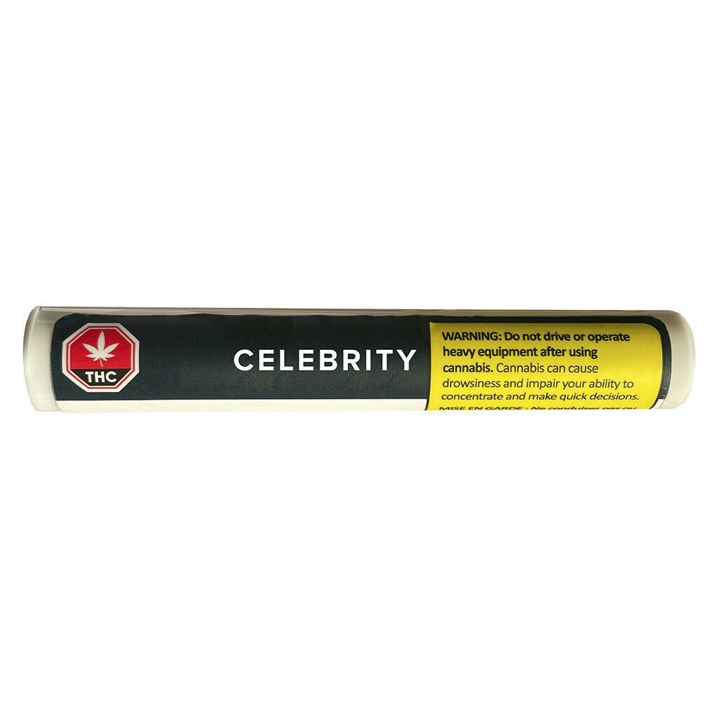 CELEBRITY - Dirk Jiggler Pre-Roll - 1x1g