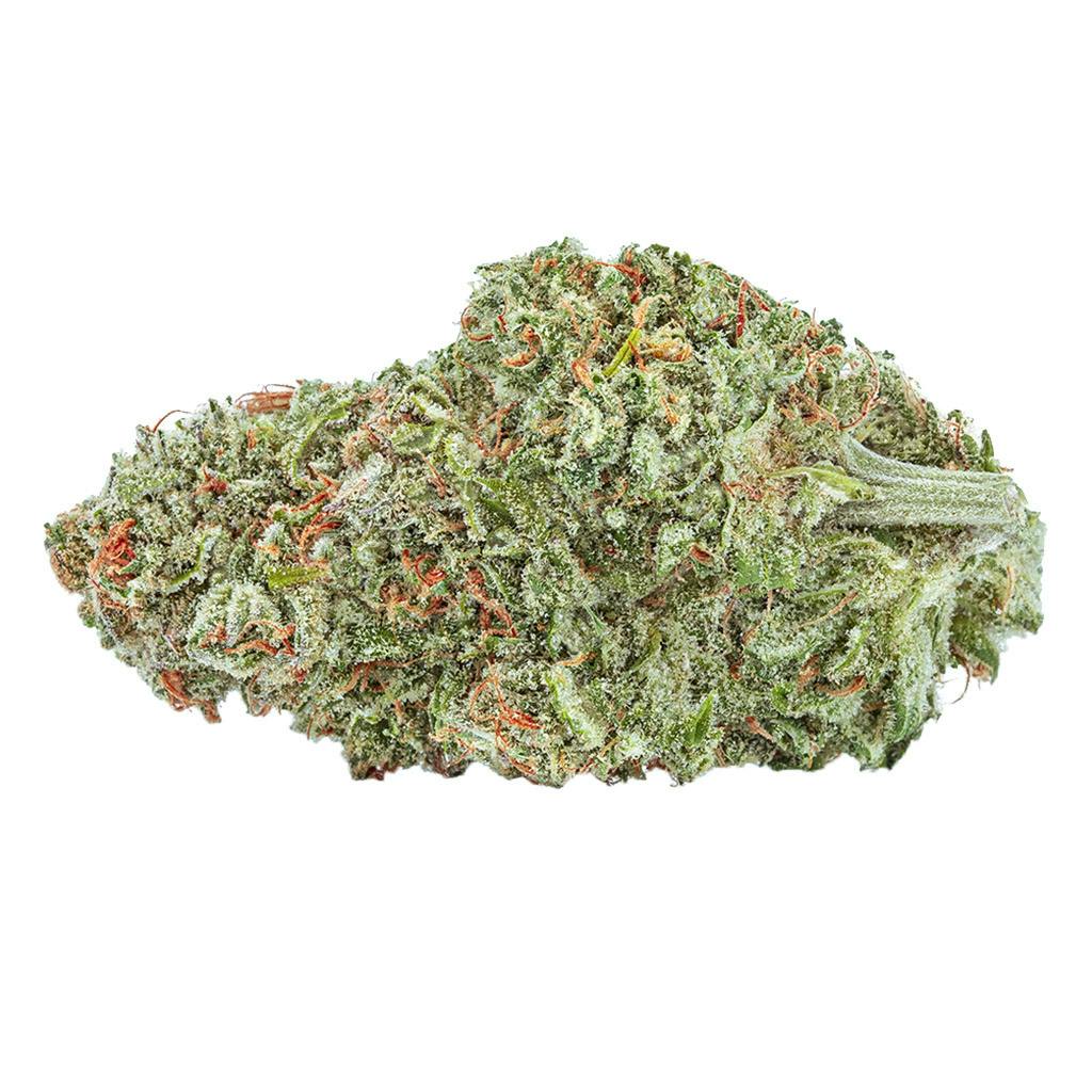 The Green Organic Dutchman - TGOD - Organic Sugar Bush - 14g