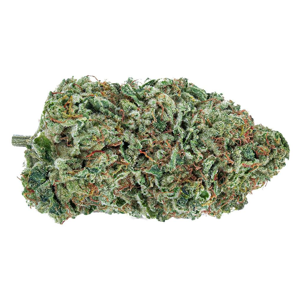 The Green Organic Dutchman - TGOD - Organic Maple Kush - 14g