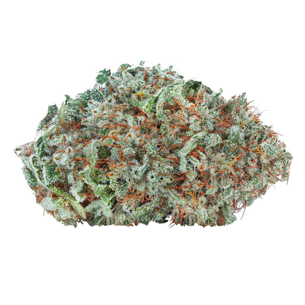 The Green Organic Dutchman - TGOD - Organic Cherry Mints - 14g