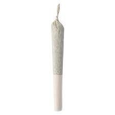 Ness - Pumpkin Spice Infused Pre-Roll - 1x0.5g