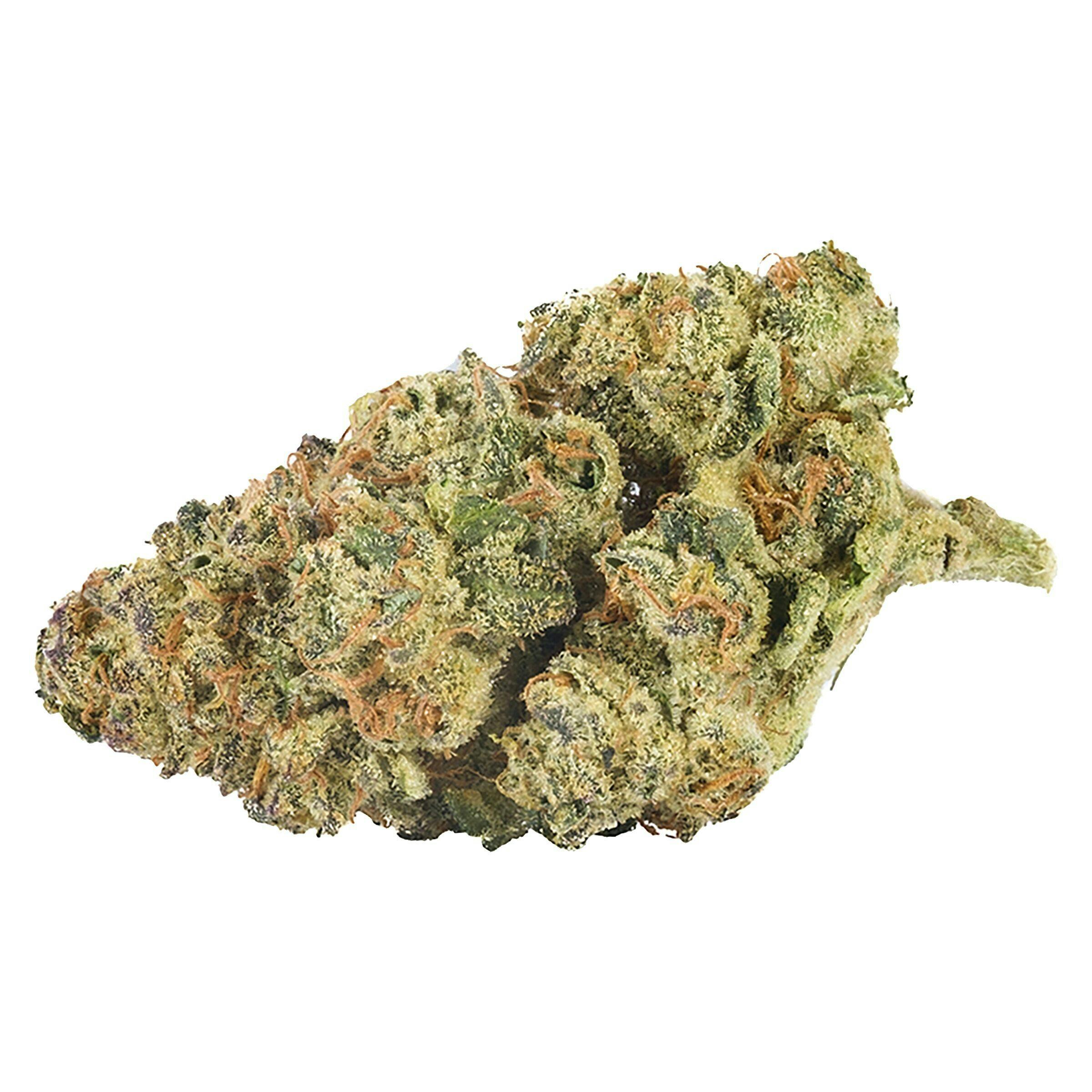 Carmel - Studio 54 - 3.5g