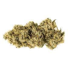 Carmel - Animal Face - 14g