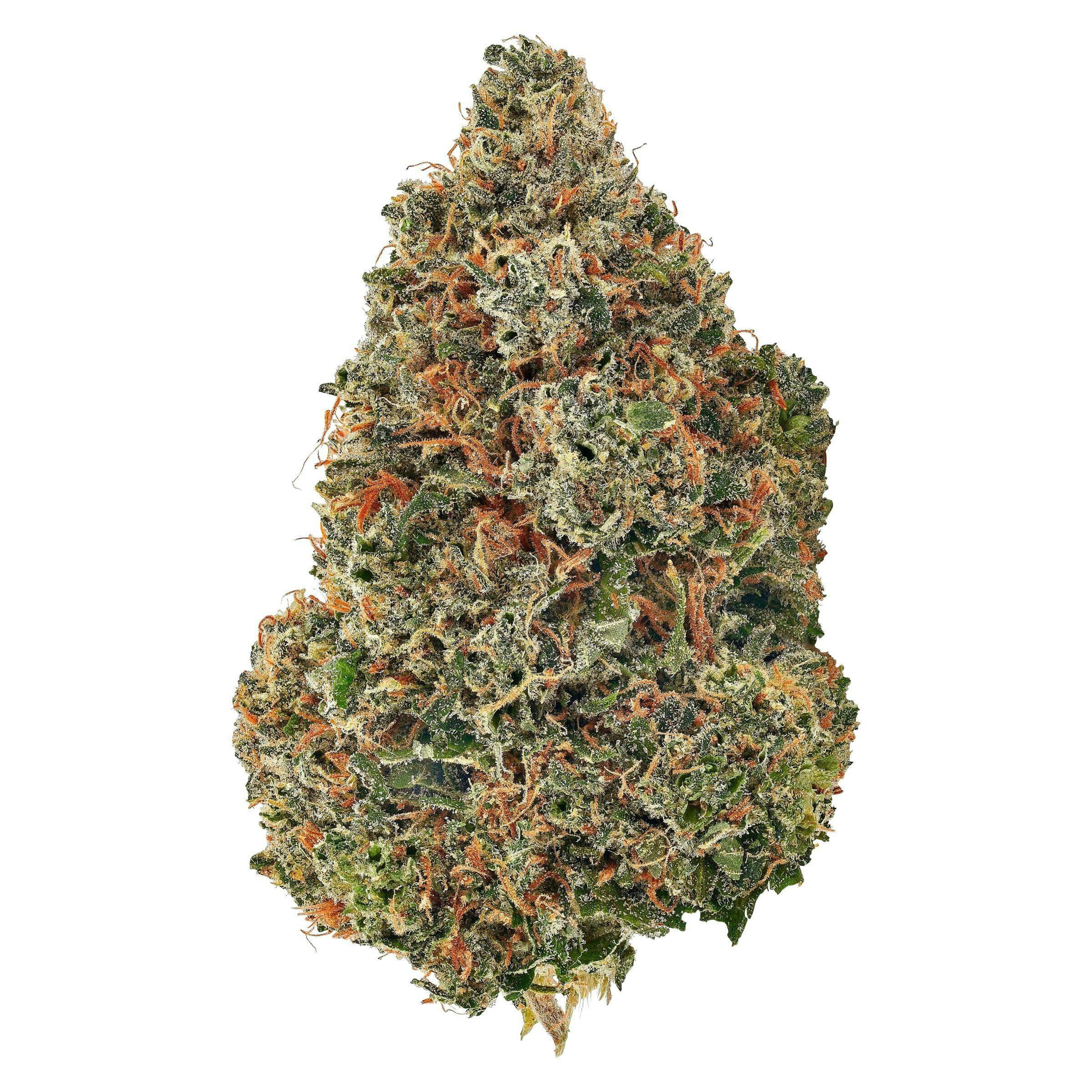 Bud Lafleur - Poison Kush - 3.5g