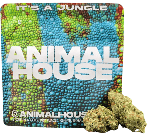 Animal House - Rancid Fruit Misfits - Flower - 5g