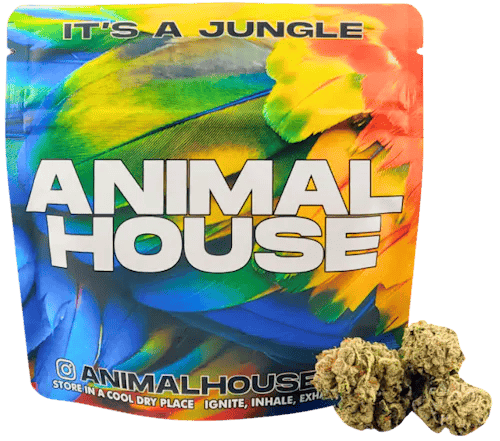 Animal House - Tropicana Trip Misfits - Flower - 5g