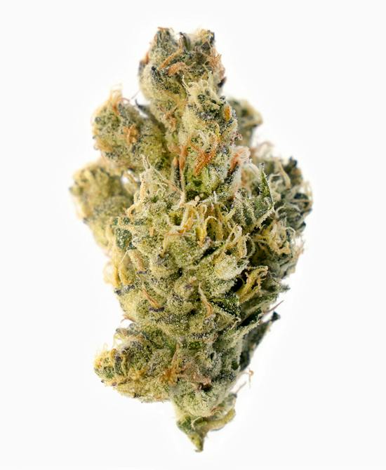 Bouket - GMO Punch - Flower - 3.5g