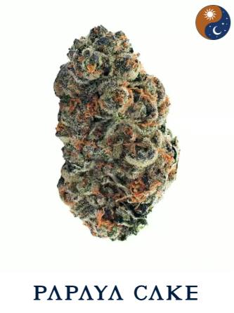 Aeterna - Papaya Cake - Smalls - 14g