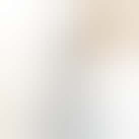 Hostile Organic Drink - Blueberry Lemonade