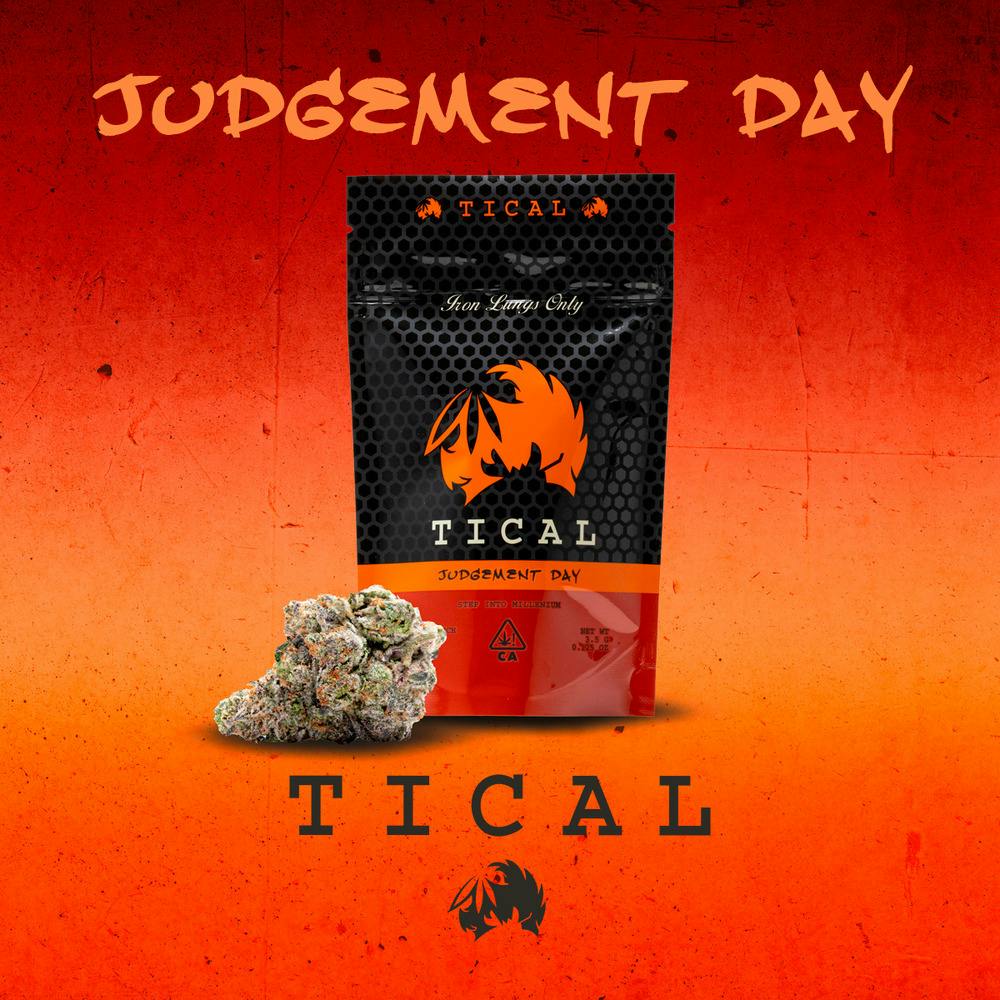 TICAL - Judgement Day - Flower