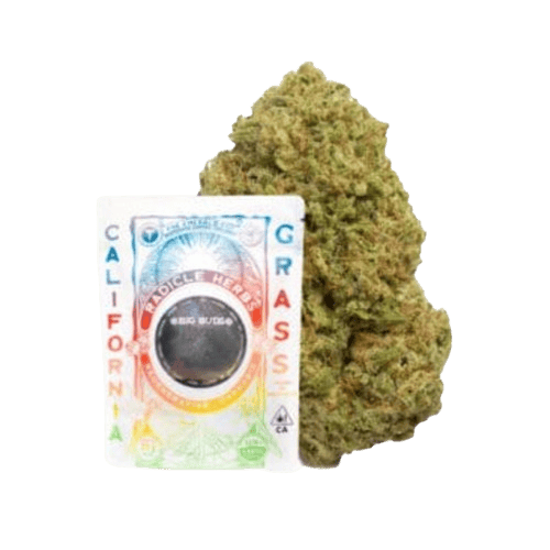 RADICLE HERBS - — Papaya Punch