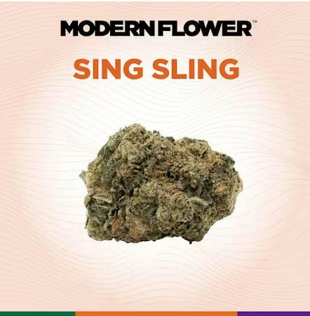 Modern Flower | Sing Sling