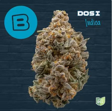 Buckeye | Dosi