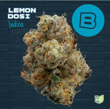 Buckeye | Lemon Dosi at Nirvana Dispensary - Elyria | Medical & Non-medical Dispensary