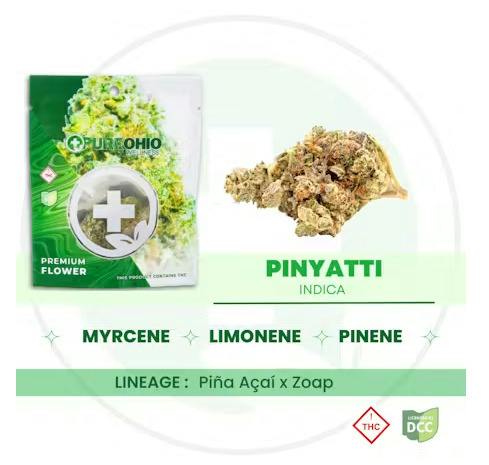 Pure Ohio Wellness | Pinyatti