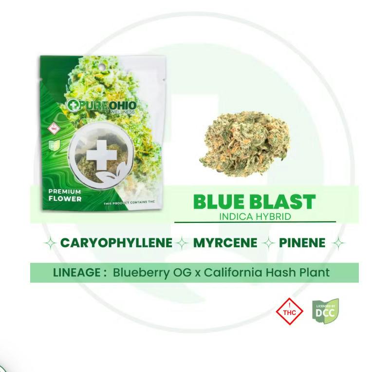 Pure Ohio Wellness | Blue Blast