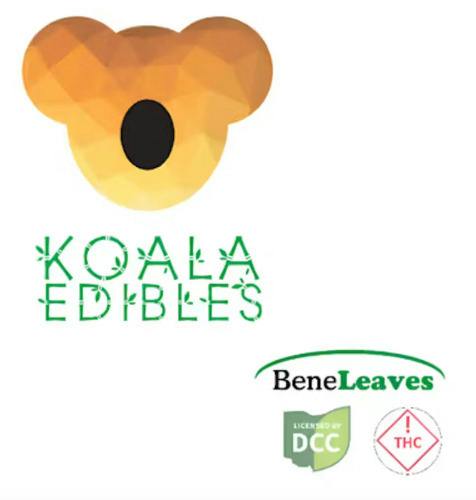 Koala | Smores Chocolate Bar
