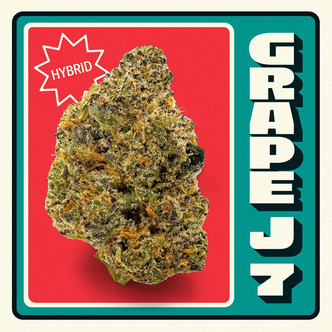Neighborgoods | Grape J #7