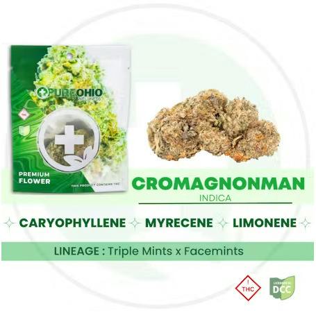 Pure Ohio Wellness | Cromagnonman