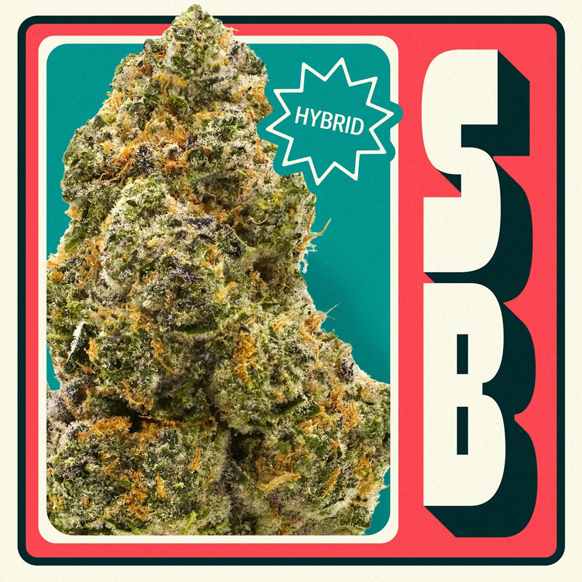 Neighborgoods | SB
