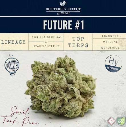 Butterfly Effect | Future #1