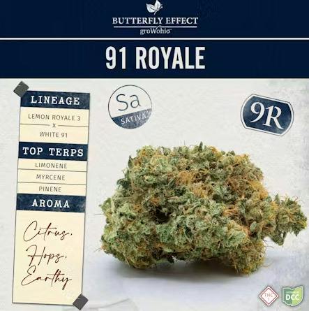 Butterfly Effect | 91 Royale