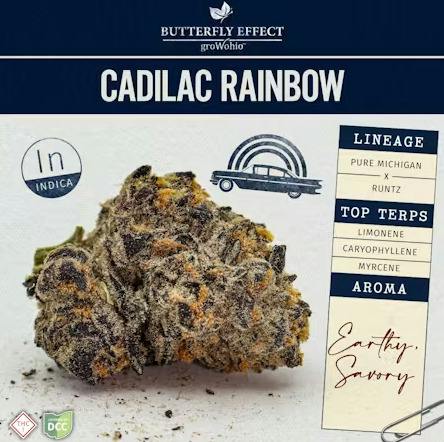 Butterfly Effect | Cadilac Rainbow