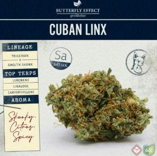 Butterfly Effect | Cuban Linx