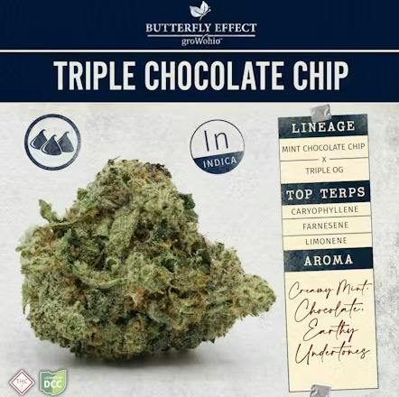 Butterfly Effect | Triple Chocolate Chip