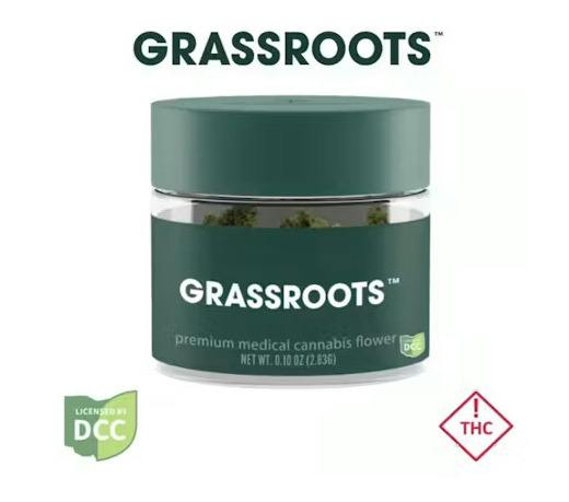 Grassroots | Blue Lobster