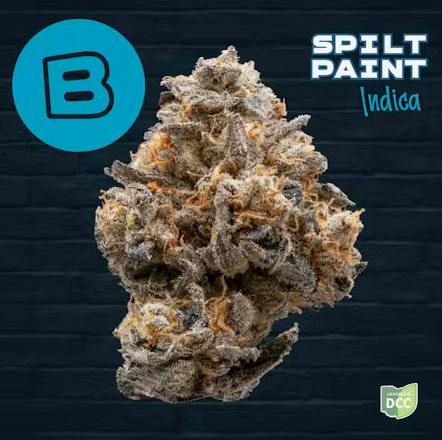 Buckeye | Split Paint