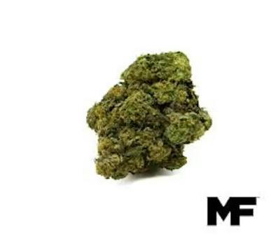 Modern Flower | Sweet Tooth