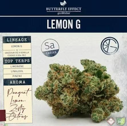 Butterfly Effect | Lemon G