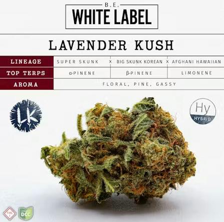 Butterfly Effect | Lavender Kush