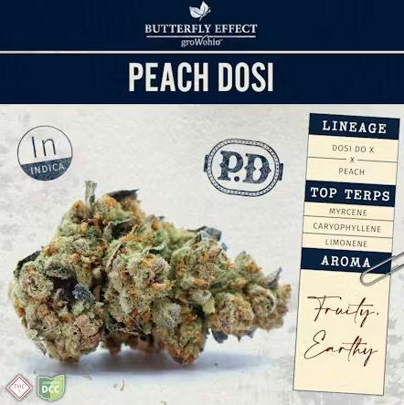 Butterfly Effect | Peach Dosi