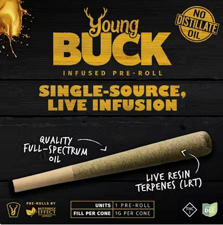 Young Buck | SLH | 1g 2pk Infused SSU