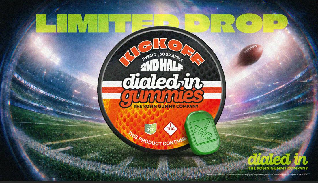 Dialed In | Limited Edition | Kickoff 2nd Hald | Sour Apple | 100mg 10pk