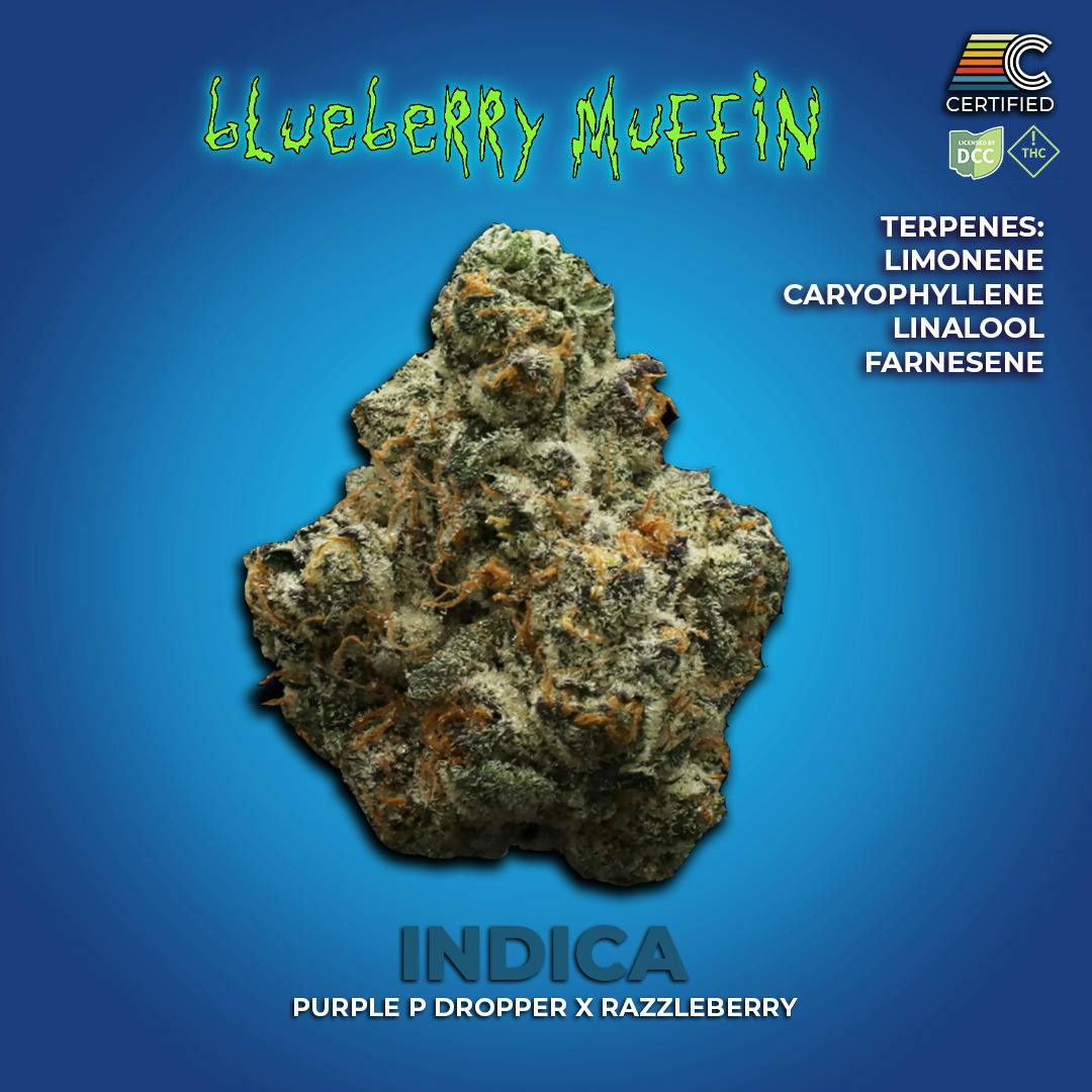 Certified | Blueberry Muffin #3