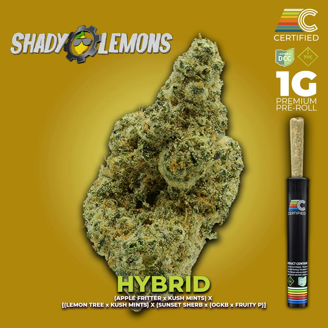 Certified | Shady Lemons | 1g SSU