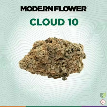 Modern Flower | Cloud 10