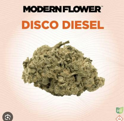 Modern Flower | Disco Diesel