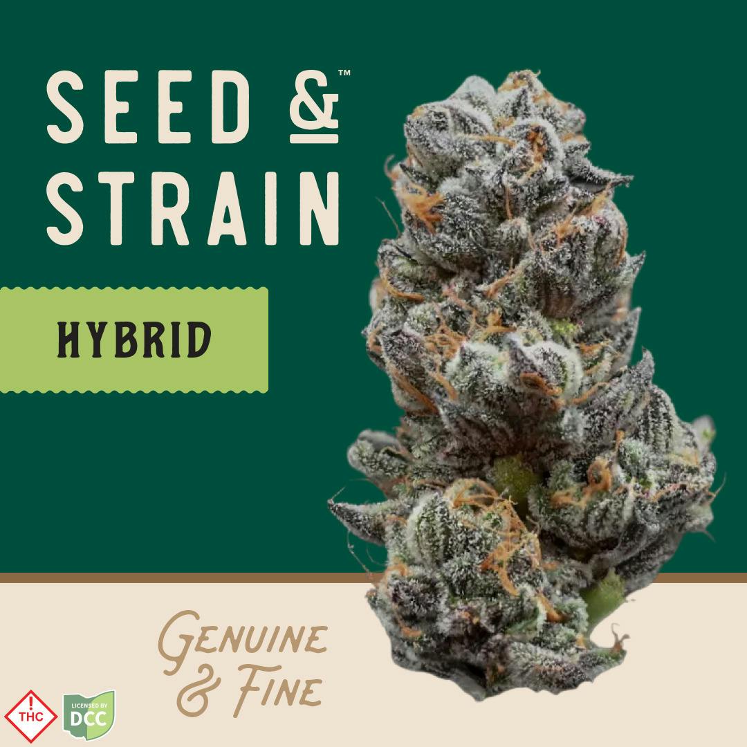 Seed & Strain | DLS | 1