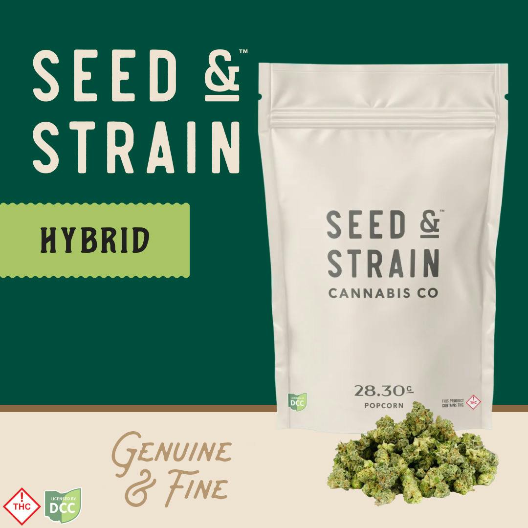 Seed & Strain | Lemon Cherry Saltz