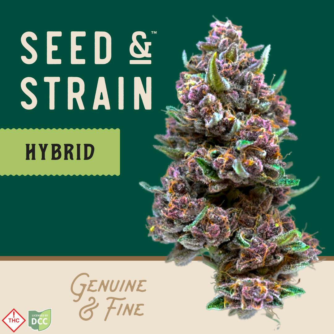 Seed & Strain | FF | 1