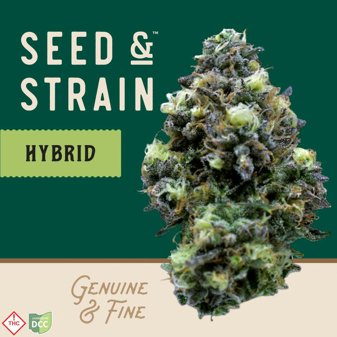 Seed & Strain | SLB | 1