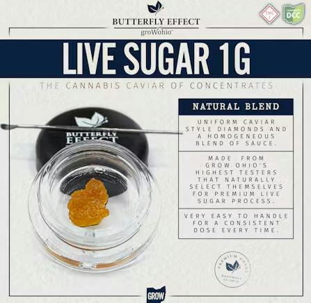 Butterfly Effect | Lemon G | 1g Live Sugar